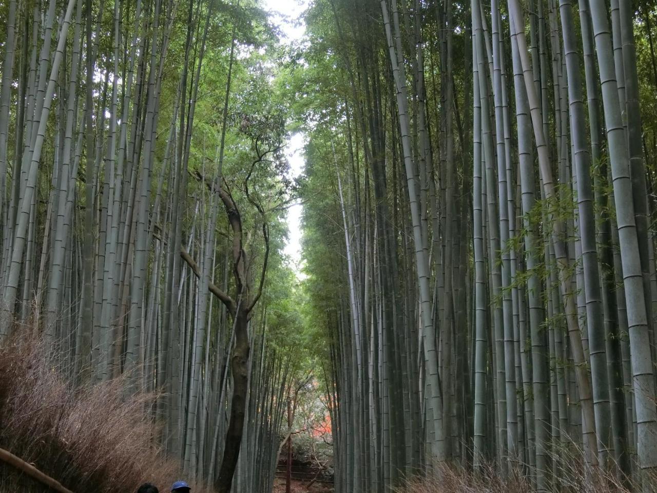 Kawasemi An Villa Kyoto Luaran gambar
